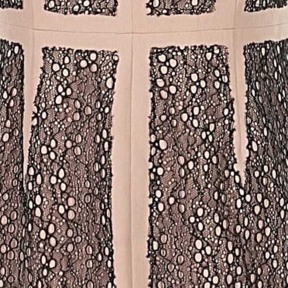 NWT black lace and pink BCBGMaxAzria dress, size 4 - Picture 7 of 8
